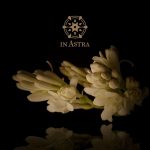 Tistar Eau de Parfum | 50 ml